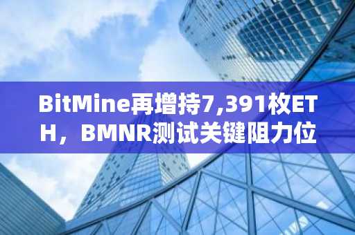 BitMine再增持7,391枚ETH，BMNR测试关键阻力位