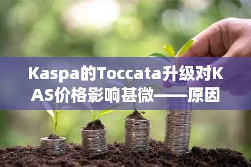 Kaspa的Toccata升级对KAS价格影响甚微——原因如下