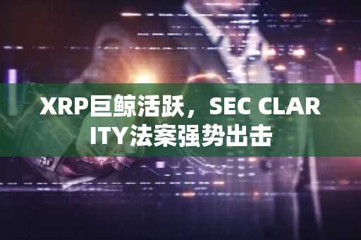 XRP巨鲸活跃,SEC CLARITY法案强势出击