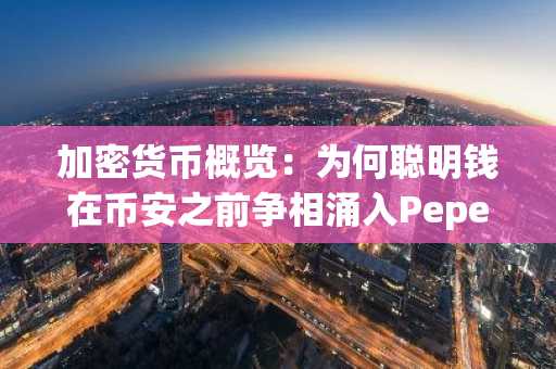 加密货币概览:为何聪明钱在币安之前争相涌入Pepeto