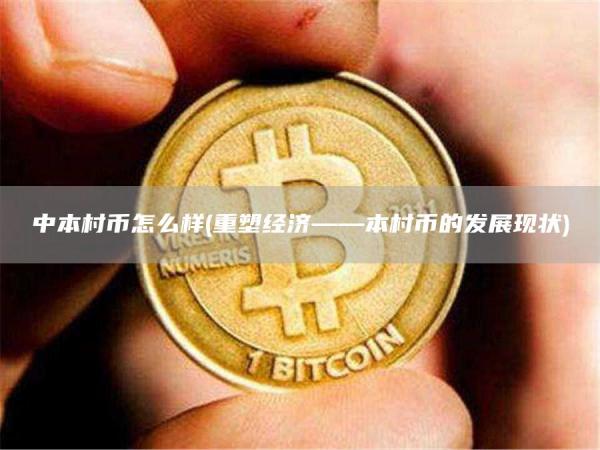 中本村币怎么样 - 重塑经济——本村币的发展现状