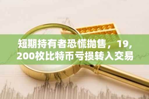短期持有者恐慌抛售,19,200枚比特币亏损转入交易所