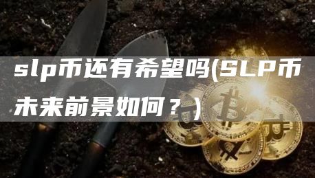 slp币还有希望吗 - SLP币未来前景如何?