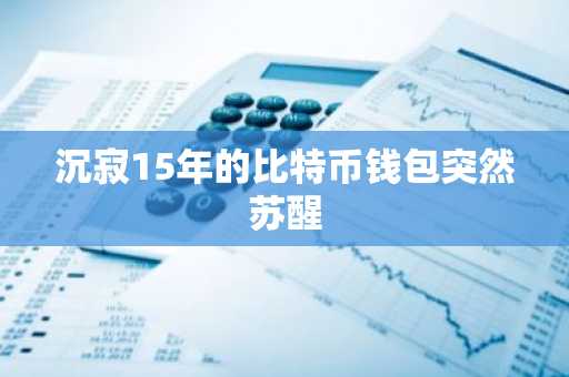 沉寂15年的比特币钱包突然苏醒
