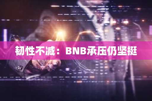 韧性不减:BNB承压仍坚挺