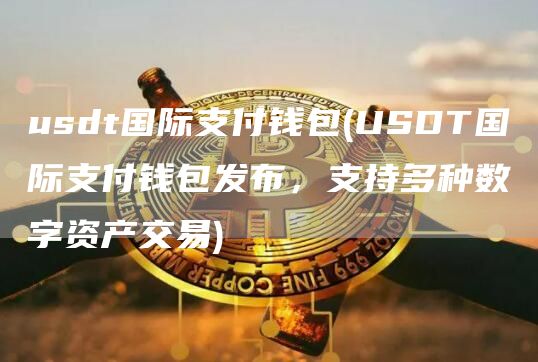 usdt国际支付钱包 - USDT国际支付钱包发布,支持多种数字资产交易