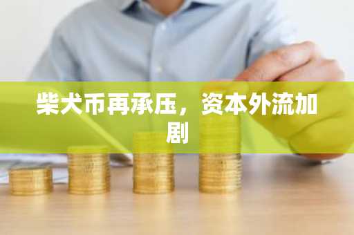柴犬币再承压，资本外流加剧