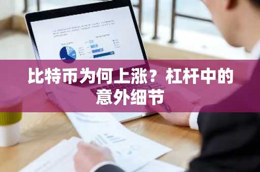 比特币为何上涨？杠杆中的意外细节