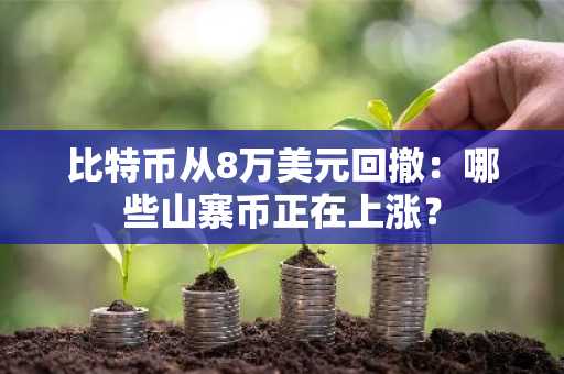 比特币从8万美元回撤:哪些山寨币正在上涨?