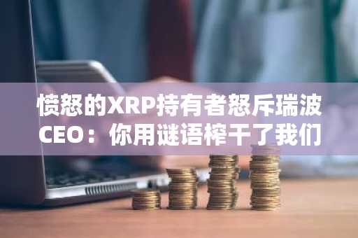 愤怒的XRP持有者怒斥瑞波CEO:你用谜语榨干了我们