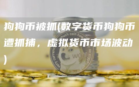 狗狗币被抓 - 数字货币狗狗币遭抓捕,虚拟货币市场波动