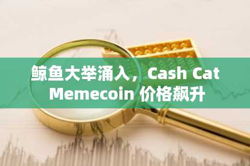 鲸鱼大举涌入，Cash Cat Memecoin 价格飙升