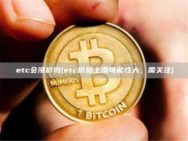 etc会涨价吗 - etc价格上涨可能性大,需关注