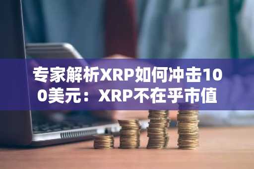 专家解析XRP如何冲击100美元:XRP不在乎市值