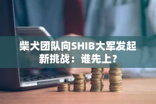 柴犬团队向SHIB大军发起新挑战：谁先上？