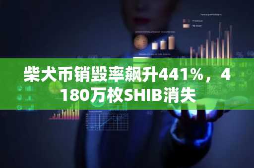 柴犬币销毁率飙升441%,4180万枚SHIB消失