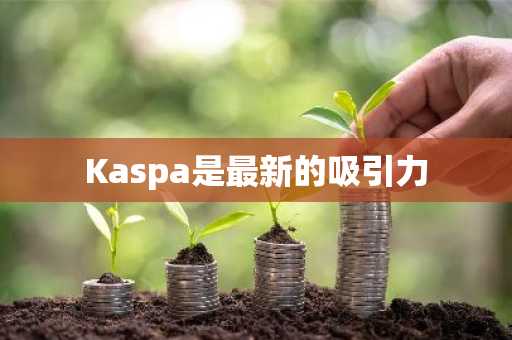 Kaspa是最新的吸引力