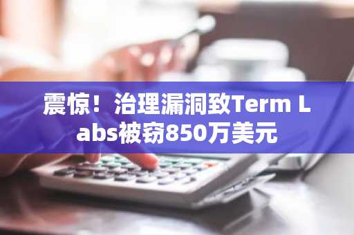 震惊!治理漏洞致Term Labs被窃850万美元