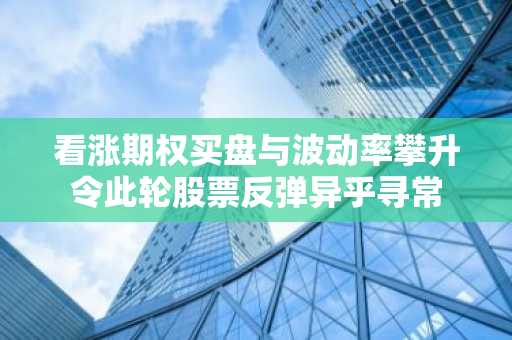 看涨期权买盘与波动率攀升令此轮股票反弹异乎寻常