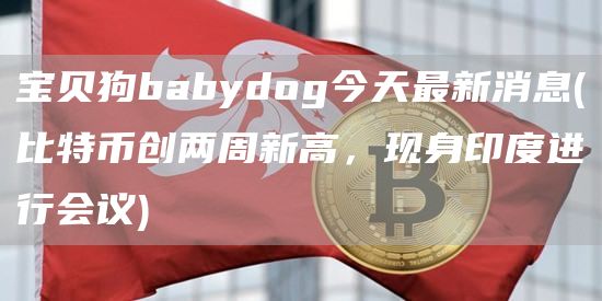 宝贝狗babydog今天最新消息 - 比特币创两周新高,现身印度进行会议