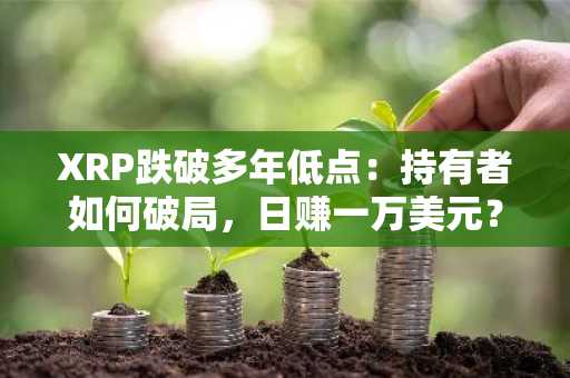 XRP跌破多年低点:持有者如何破局,日赚一万美元?