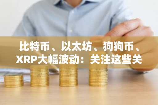 比特币、以太坊、狗狗币、XRP大幅波动:关注这些关键价位