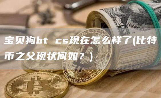 宝贝狗bt cs现在怎么样了 - 比特币之父现状何如?