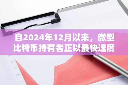 自2024年12月以来,微型比特币持有者正以最快速度消失