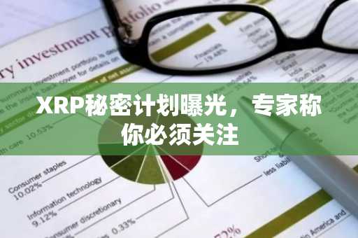 XRP秘密计划曝光，专家称你必须关注