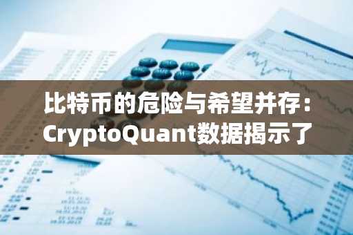 比特币的危险与希望并存:CryptoQuant数据揭示了什么?分析师与CEO解读!