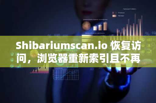 Shibariumscan.io 恢复访问，浏览器重新索引且不再包含 Shibnames