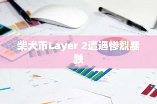 柴犬币Layer 2遭遇惨烈暴跌