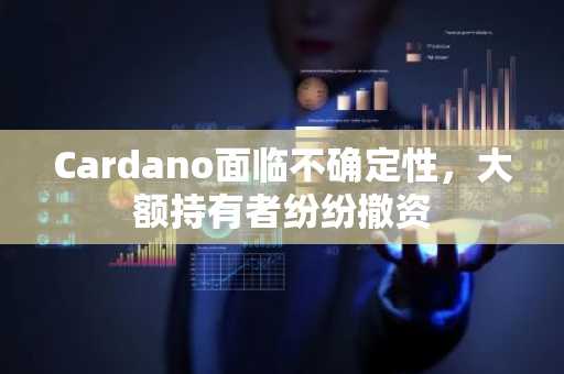 Cardano面临不确定性,大额持有者纷纷撤资