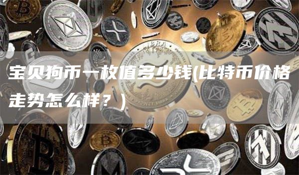 宝贝狗币一枚值多少钱 - 比特币价格走势怎么样?