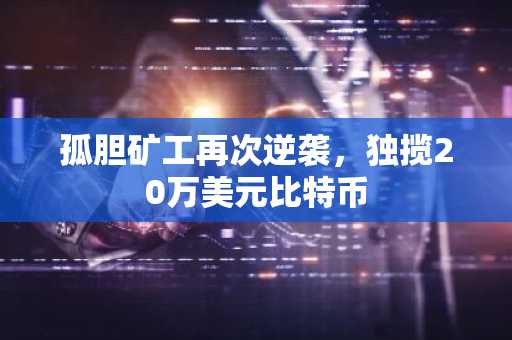 孤胆矿工再次逆袭,独揽20万美元比特币