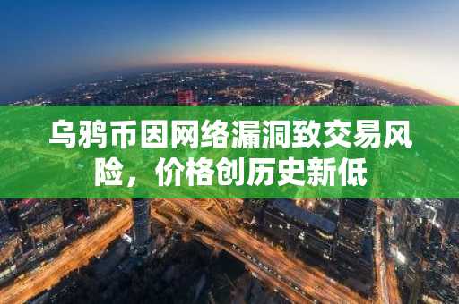 乌鸦币因网络漏洞致交易风险,价格创历史新低