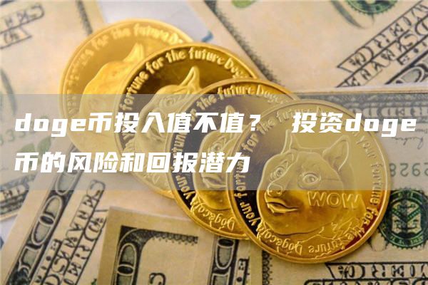 doge币投入值不值？ 投资doge币的风险和回报潜力