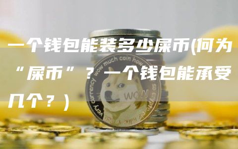一个钱包能装多少屎币 - 何为“屎币”?一个钱包能承受几个?