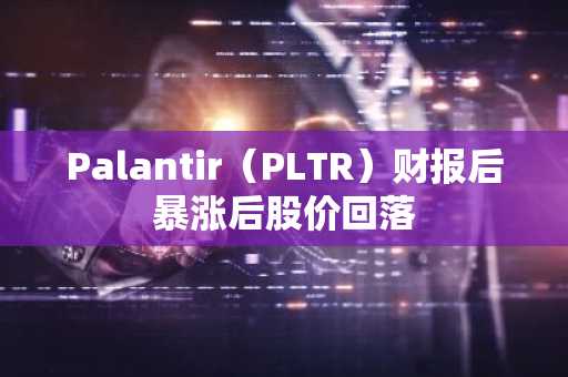Palantir（PLTR）财报后暴涨后股价回落