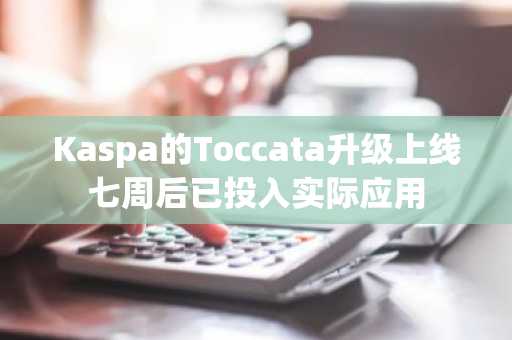 Kaspa的Toccata升级上线七周后已投入实际应用