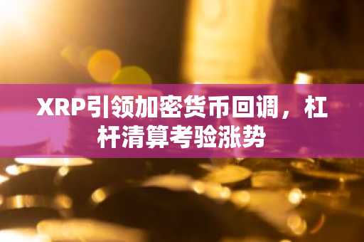 XRP引领加密货币回调，杠杆清算考验涨势