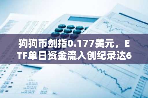 狗狗币剑指0.177美元,ETF单日资金流入创纪录达65.4万美元