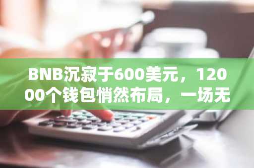 BNB沉寂于600美元，12000个钱包悄然布局，一场无人预见的交易正在酝酿