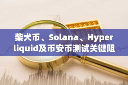 柴犬币、Solana、Hyperliquid及币安币测试关键阻力位
