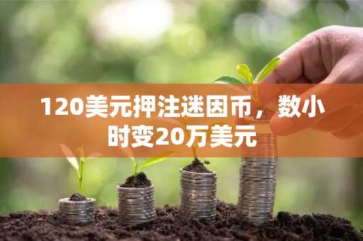 120美元押注迷因币,数小时变20万美元