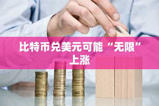 比特币兑美元可能“无限”上涨
