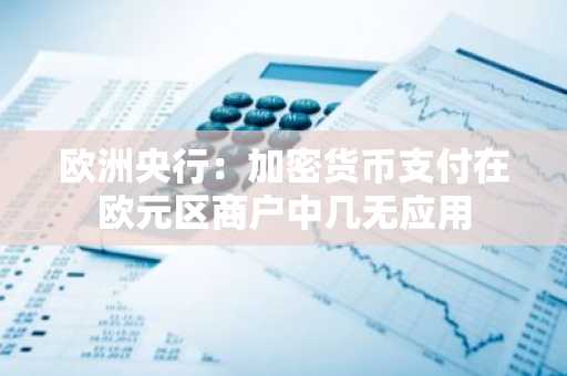 欧洲央行:加密货币支付在欧元区商户中几无应用