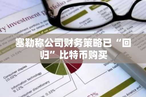 塞勒称公司财务策略已“回归”比特币购买