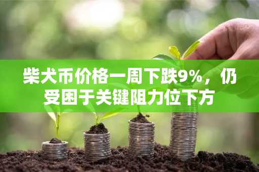 柴犬币价格一周下跌9%,仍受困于关键阻力位下方