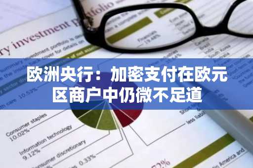 欧洲央行:加密支付在欧元区商户中仍微不足道